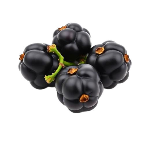 Jamun